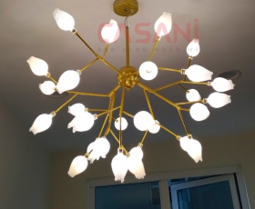Đèn trang trí Sảnh-phòng khách- sinh hoat -phòng ăn- bếp